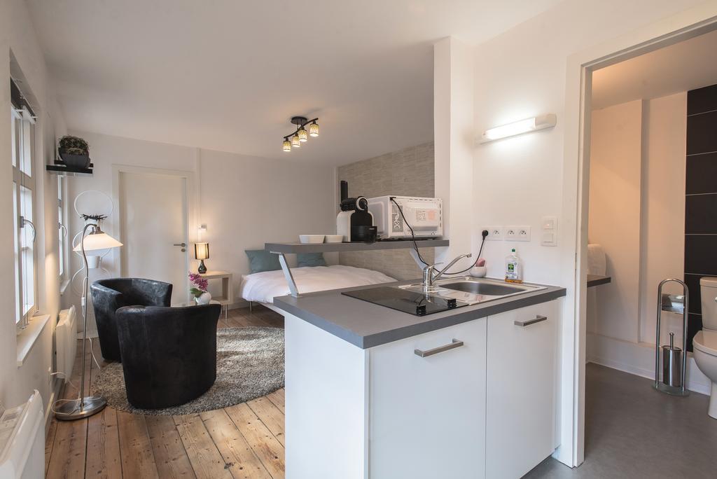 Appartements Orfevres Cathedrale Στρασβούργο Εξωτερικό φωτογραφία
